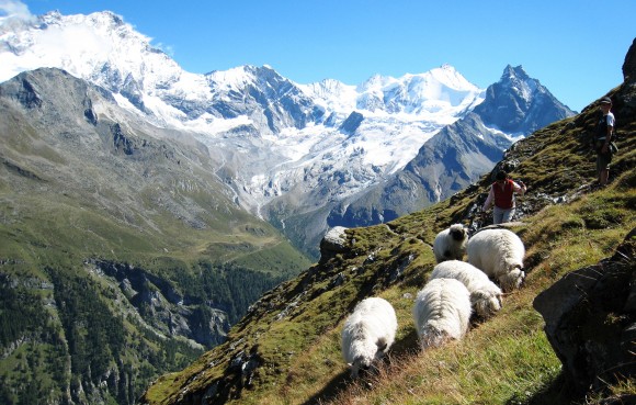 Wandern Grimentz - Zinal