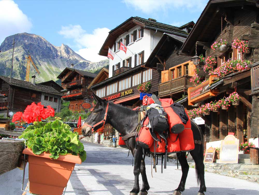 Hotel de Moiry Grimentz